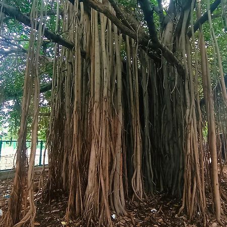 Hampi Anjana Home Stay Экстерьер фото